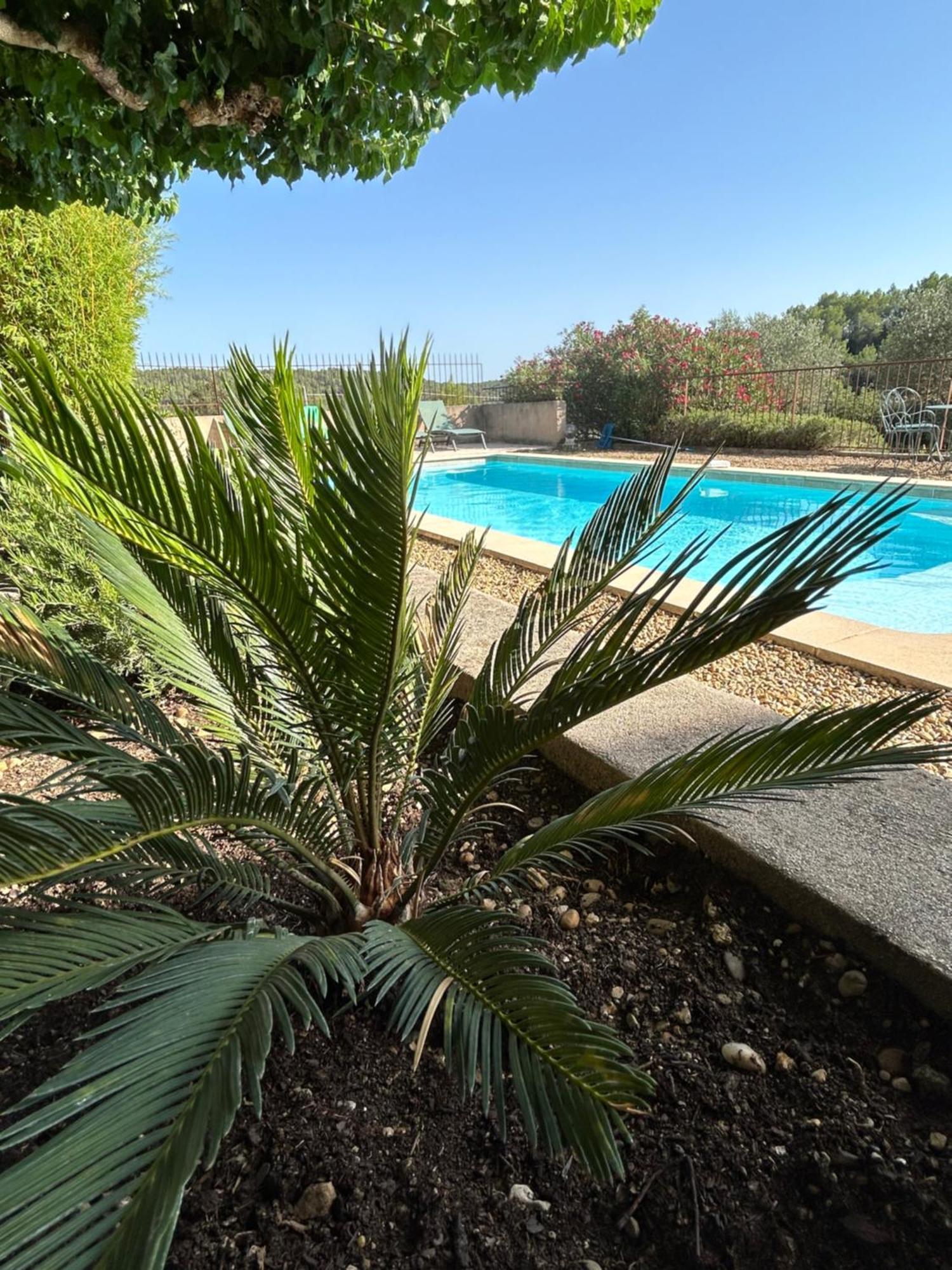 Chateau Du Grand Jas *